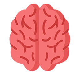 s3 img1